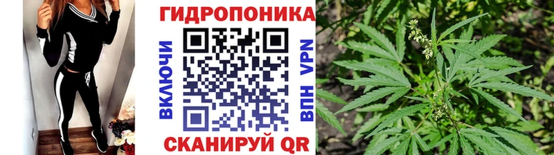 Шишки марихуана конопля наркошоп Верещагино